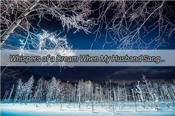 Whispers of a Dream When My Husband Sang and Drank in His Nightly Escape